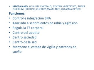 •  HIPOTALAMO:  0.3%  DEL  ENCEFALO,  CENTRO  VEGETATIVO,  TUBER 
   CINERIUM, HIPOFISIS, CUERPOS MAMILARES, QUIASMA OPTICO 
Funciones:   
•  Control e integración SNA 
•  Asociado a senWmientos de rabia y agresión 
•  Regula la Tº corporal 
•  Centro del apeWto 
•  Centro saciedad 
•  Centro de la sed 
•  ManWene el estado de vigilia y patrones de 
    sueño 
 
 