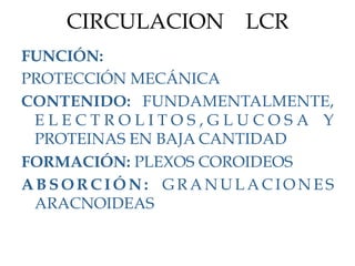 CIRCULACION     LCR
FUNCIÓN:
PROTECCIÓN MECÁNICA
CONTENIDO: FUNDAMENTALMENTE,
 ELECTROLITOS,GLUCOSA Y
 PROTEINAS EN BAJA CANTIDAD
FORMACIÓN: PLEXOS COROIDEOS
ABSORCIÓN: GRANULACIONES
 ARACNOIDEAS
 