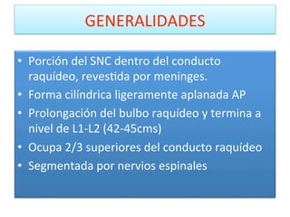 GENERALIDADES 

•  Porción del SNC dentro del conducto 
   raquídeo, revesWda por meninges. 
•  Forma cilíndrica ligeramente aplanada AP 
•  Prolongación del bulbo raquídeo y termina a 
   nivel de L1‐L2 (42‐45cms) 
•  Ocupa 2/3 superiores del conducto raquídeo 
•  Segmentada por nervios espinales 
 