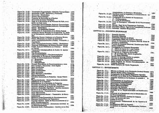 Tomo3tratadodeneuroanatomíafuncional.pdf