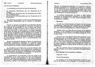 Tomo3tratadodeneuroanatomíafuncional.pdf