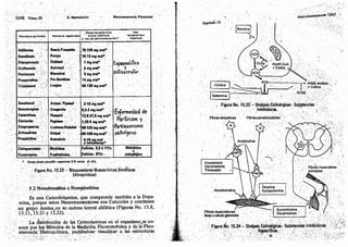 Tomo3tratadodeneuroanatomíafuncional.pdf