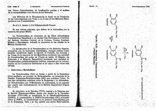 Tomo3tratadodeneuroanatomíafuncional.pdf