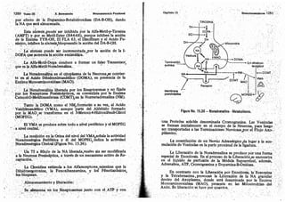 Tomo3tratadodeneuroanatomíafuncional.pdf