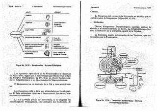 Tomo3tratadodeneuroanatomíafuncional.pdf