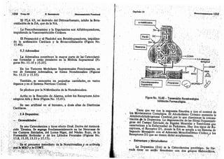 Tomo3tratadodeneuroanatomíafuncional.pdf