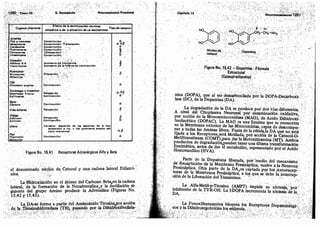 Tomo3tratadodeneuroanatomíafuncional.pdf