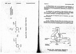Tomo3tratadodeneuroanatomíafuncional.pdf