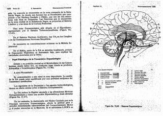 Tomo3tratadodeneuroanatomíafuncional.pdf