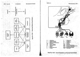 Tomo3tratadodeneuroanatomíafuncional.pdf