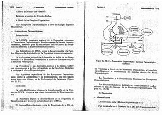 Tomo3tratadodeneuroanatomíafuncional.pdf