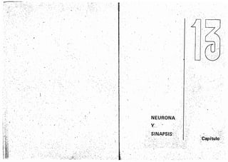 Tomo3tratadodeneuroanatomíafuncional.pdf