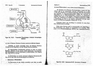 Tomo3tratadodeneuroanatomíafuncional.pdf