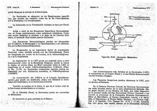 Tomo3tratadodeneuroanatomíafuncional.pdf