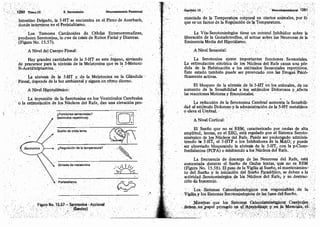 Tomo3tratadodeneuroanatomíafuncional.pdf