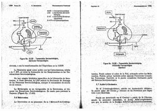 Tomo3tratadodeneuroanatomíafuncional.pdf