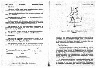 Tomo3tratadodeneuroanatomíafuncional.pdf