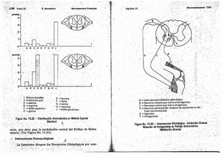 Tomo3tratadodeneuroanatomíafuncional.pdf