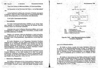 Tomo3tratadodeneuroanatomíafuncional.pdf