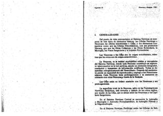 Tomo3tratadodeneuroanatomíafuncional.pdf