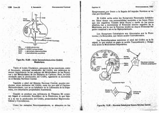 Tomo3tratadodeneuroanatomíafuncional.pdf