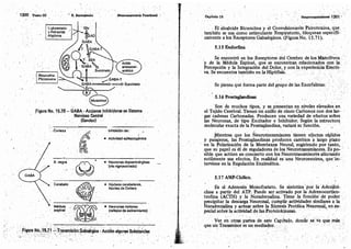 Tomo3tratadodeneuroanatomíafuncional.pdf