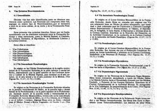 Tomo3tratadodeneuroanatomíafuncional.pdf