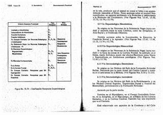 Tomo3tratadodeneuroanatomíafuncional.pdf