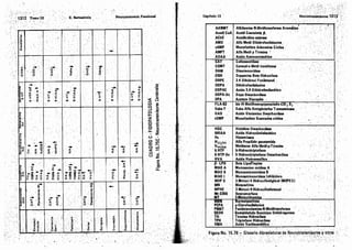Tomo3tratadodeneuroanatomíafuncional.pdf