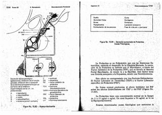 Tomo3tratadodeneuroanatomíafuncional.pdf