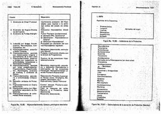 Tomo3tratadodeneuroanatomíafuncional.pdf