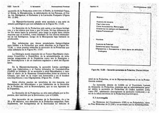 Tomo3tratadodeneuroanatomíafuncional.pdf