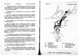 Tomo3tratadodeneuroanatomíafuncional.pdf