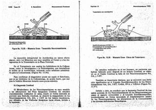 Tomo3tratadodeneuroanatomíafuncional.pdf