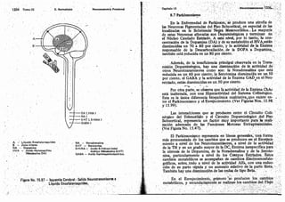 Tomo3tratadodeneuroanatomíafuncional.pdf