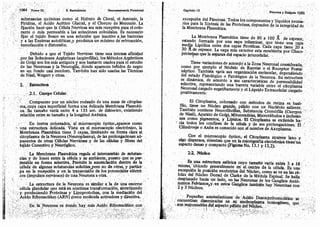 Tomo3tratadodeneuroanatomíafuncional.pdf