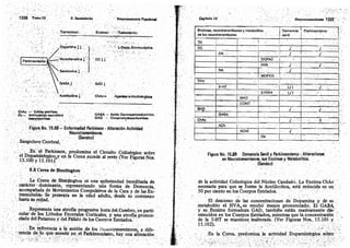 Tomo3tratadodeneuroanatomíafuncional.pdf