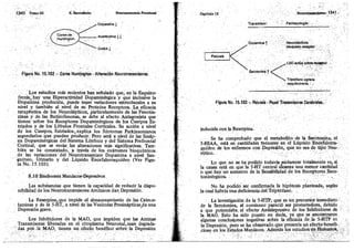 Tomo3tratadodeneuroanatomíafuncional.pdf