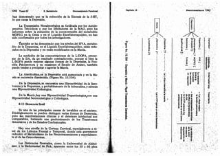 Tomo3tratadodeneuroanatomíafuncional.pdf