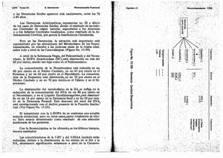 Tomo3tratadodeneuroanatomíafuncional.pdf