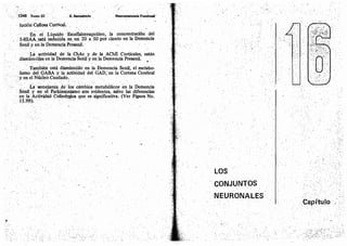 Tomo3tratadodeneuroanatomíafuncional.pdf