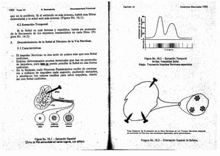 Tomo3tratadodeneuroanatomíafuncional.pdf