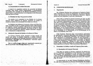 Tomo3tratadodeneuroanatomíafuncional.pdf