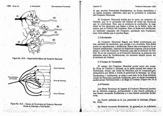 Tomo3tratadodeneuroanatomíafuncional.pdf