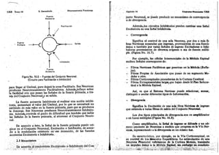 Tomo3tratadodeneuroanatomíafuncional.pdf