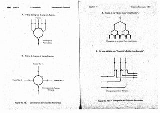 Tomo3tratadodeneuroanatomíafuncional.pdf