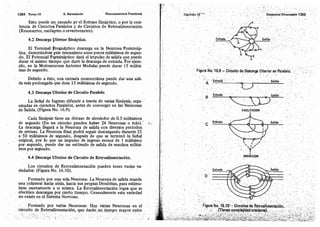 Tomo3tratadodeneuroanatomíafuncional.pdf