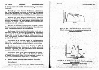Tomo3tratadodeneuroanatomíafuncional.pdf