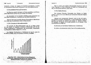 Tomo3tratadodeneuroanatomíafuncional.pdf