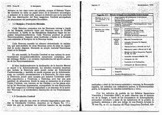 Tomo3tratadodeneuroanatomíafuncional.pdf